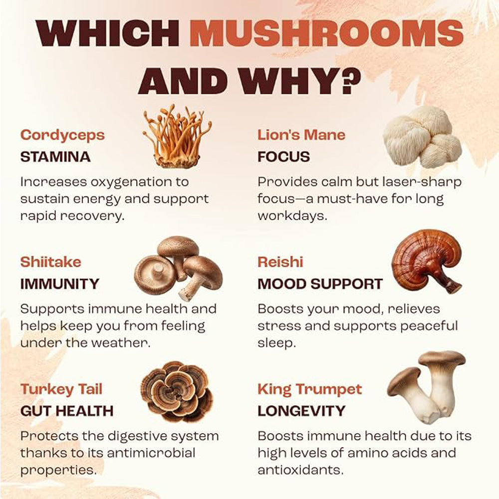 Mushroom coffee ingredient guide showing Cordyceps, Shiitake, Reishi, and Turkey Tail