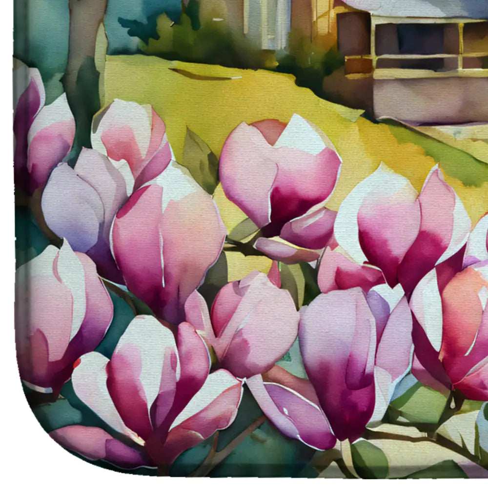 Louisiana Magnolias in Watercolor Dish Drying Mat
