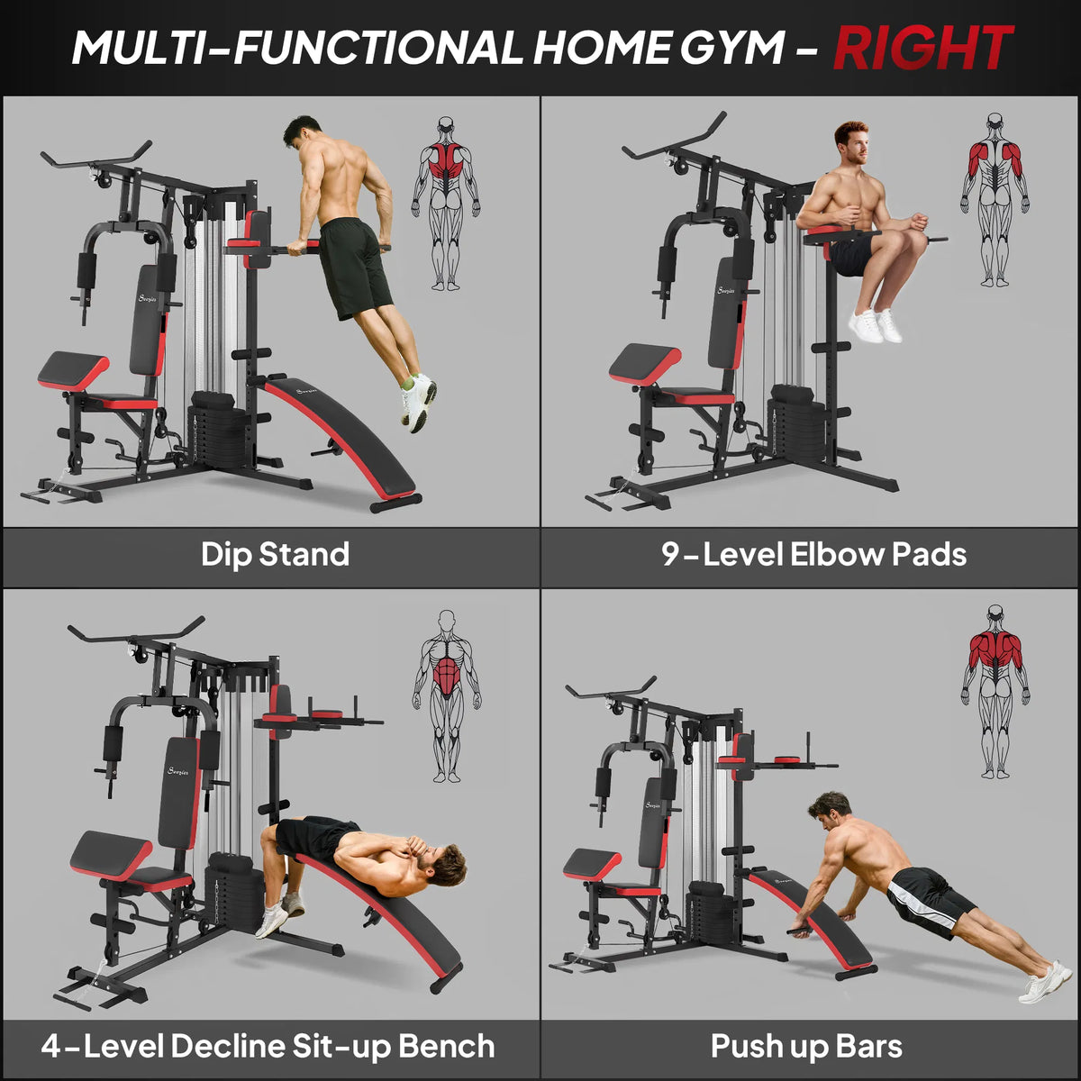 Multi-functional home gym right view with dip stand, decline sit-up bench, and push-up bars