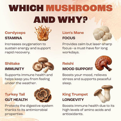 Mushroom coffee ingredient guide showing Cordyceps, Shiitake, Reishi, and Turkey Tail