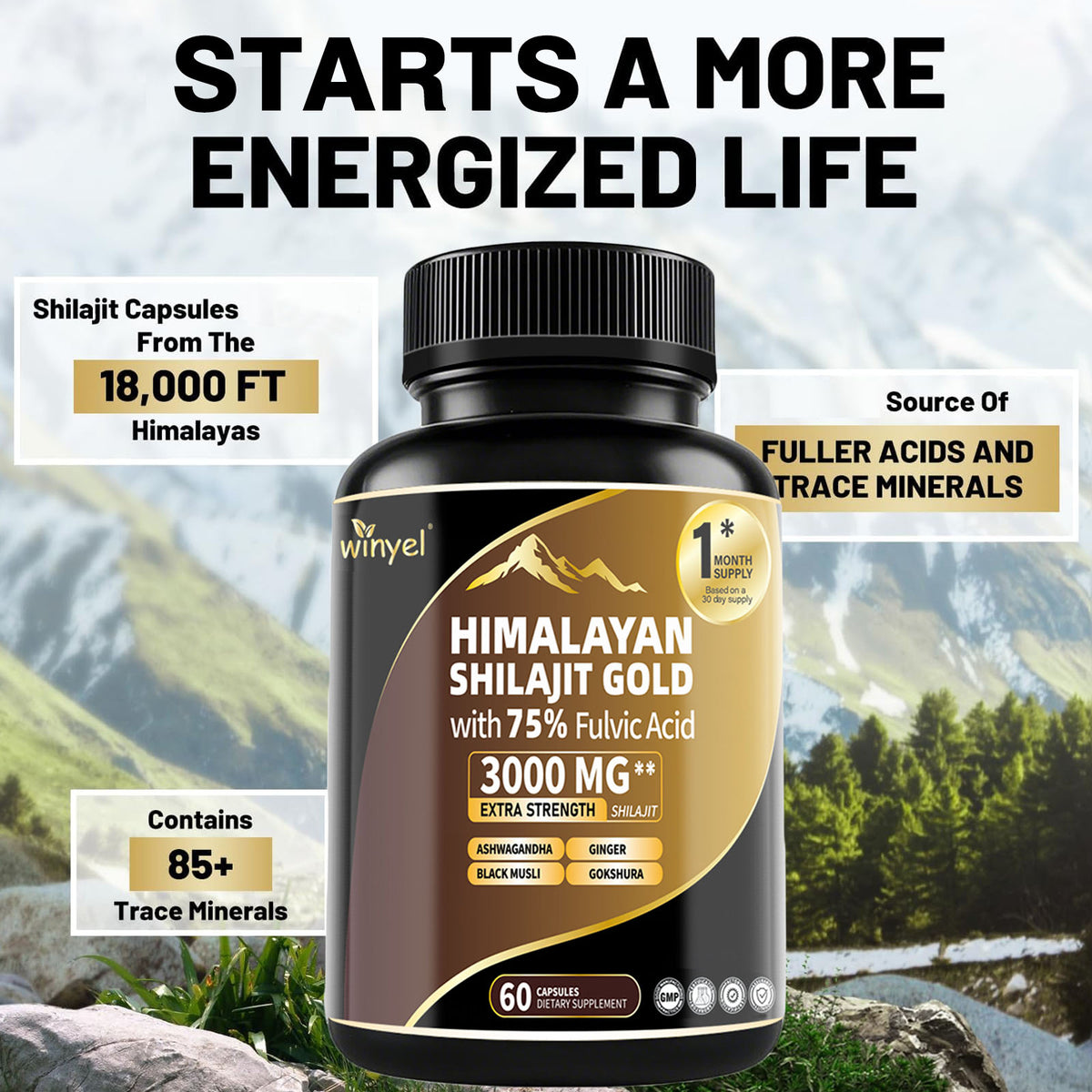 Himalayan Shilajit Gold capsules bottle with black cap and gold 3000 mg label