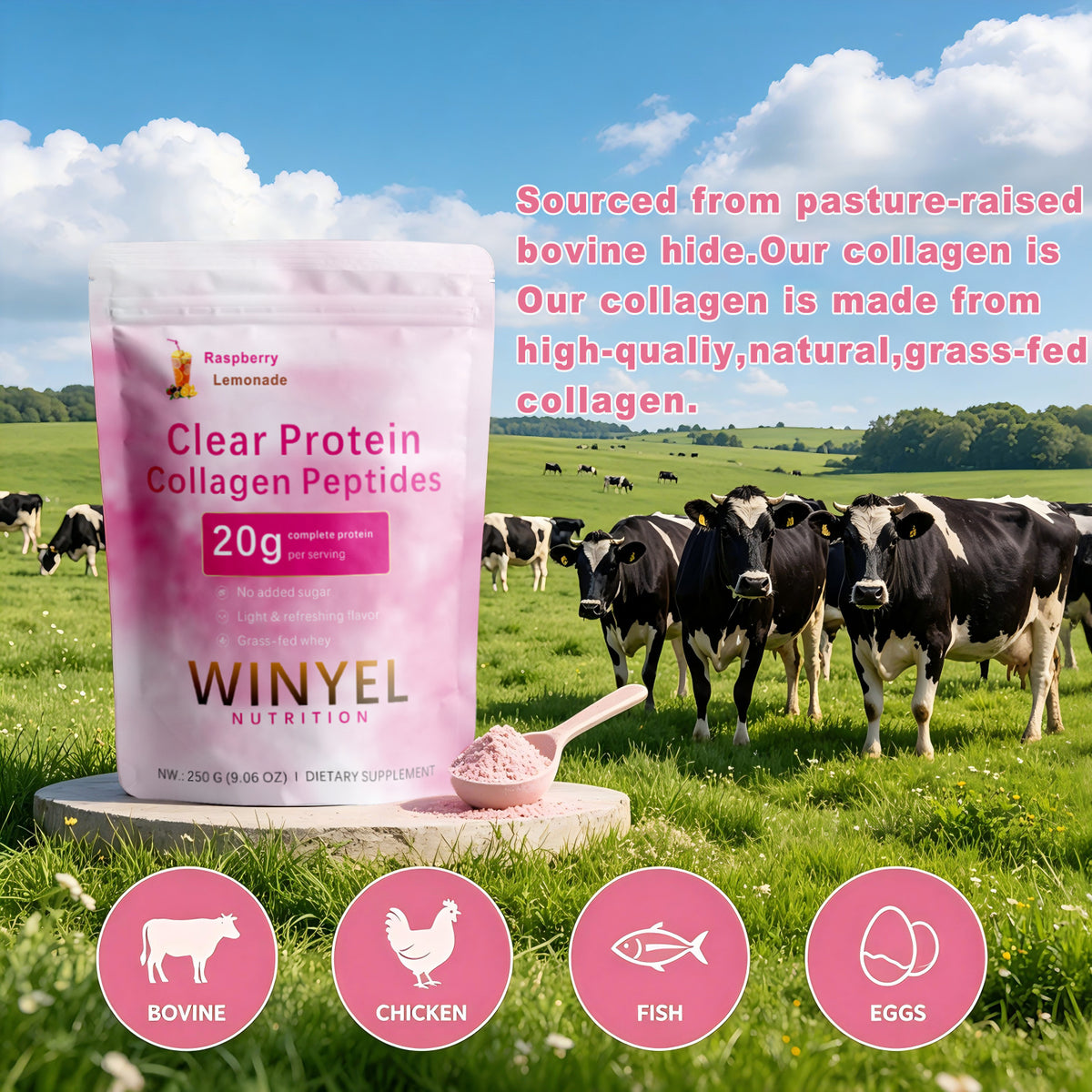 WINYEL clear protein collagen peptides pouch with scoop, raspberry lemonade, 250 g