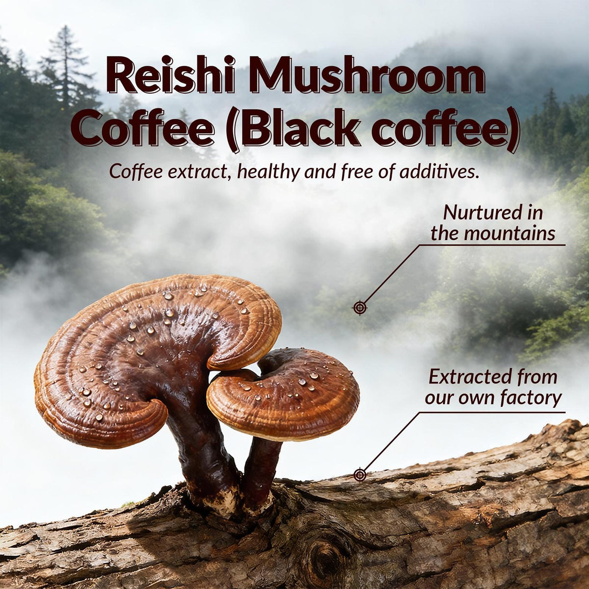 Reishi mushroom coffee product label with mushroom illustration