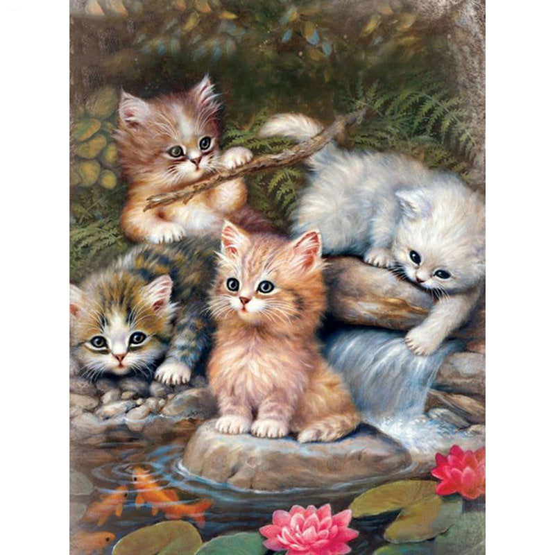 Square Full Diamond Art Cats