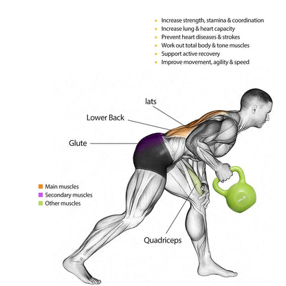 Illustration of muscles using a green 15 lb kettlebell for strength training