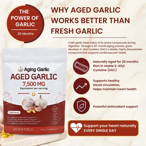 Aged garlic extract supplement package graphic comparing aged vs fresh garlic