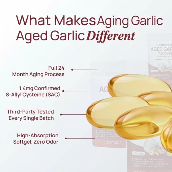 Aged garlic extract infographic with 24-month aging process and S-allyl cysteine info