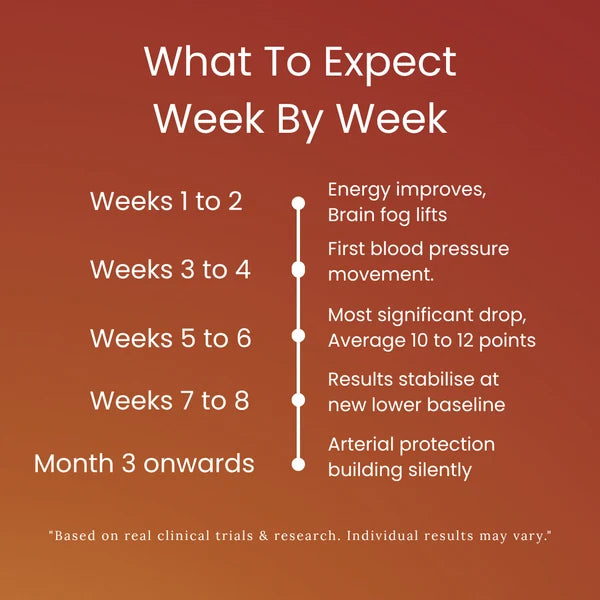 Aged garlic extract week-by-week results chart for gradual expected improvements