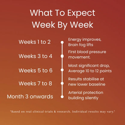 Aged garlic extract week-by-week results chart for gradual expected improvements