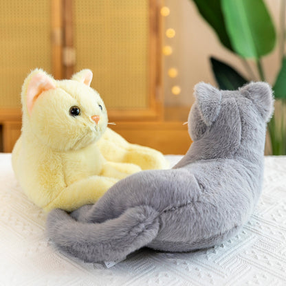 Plush Girls Rag Dolls In The Car