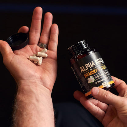 Alpha Brain Memory & Focus bottle with silver capsules in an open palm
