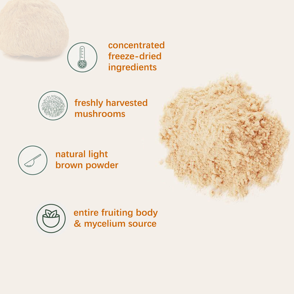 Freeze-dried lion's mane powder, natural light brown powder with ingredient icons