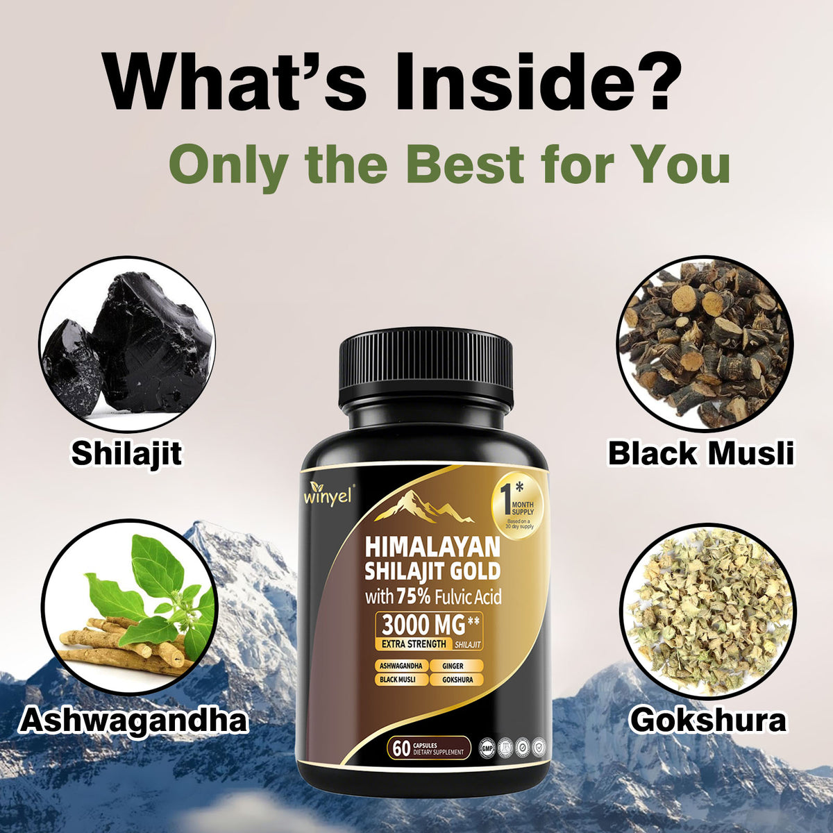 Shilajit Gold capsules bottle with gold-and-brown label and black ribbed cap