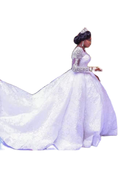 Lace Wedding Dress Long Sleeves Round Neck Big Tail